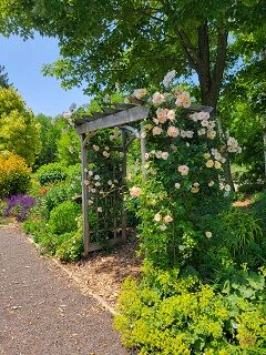 Enjoy the Display Garden