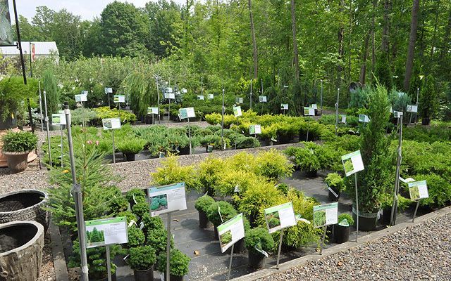 Greenhouse Areas - Winter Greenhouse